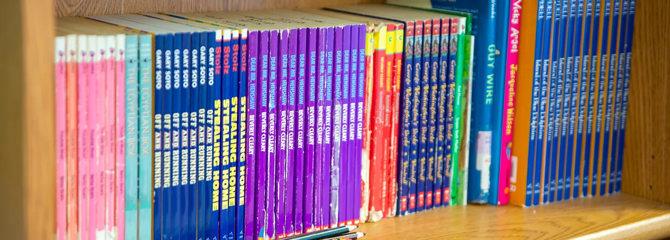 Books on a bookshelf